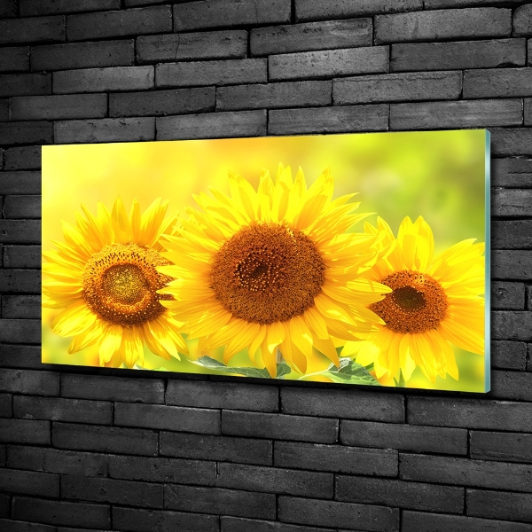 Quadro in vetro Girasoli