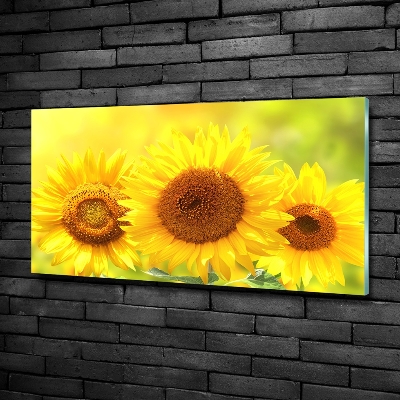 Quadro in vetro Girasoli