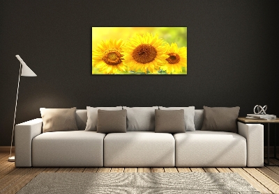 Quadro in vetro Girasoli