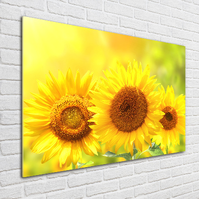 Quadro in vetro Girasoli