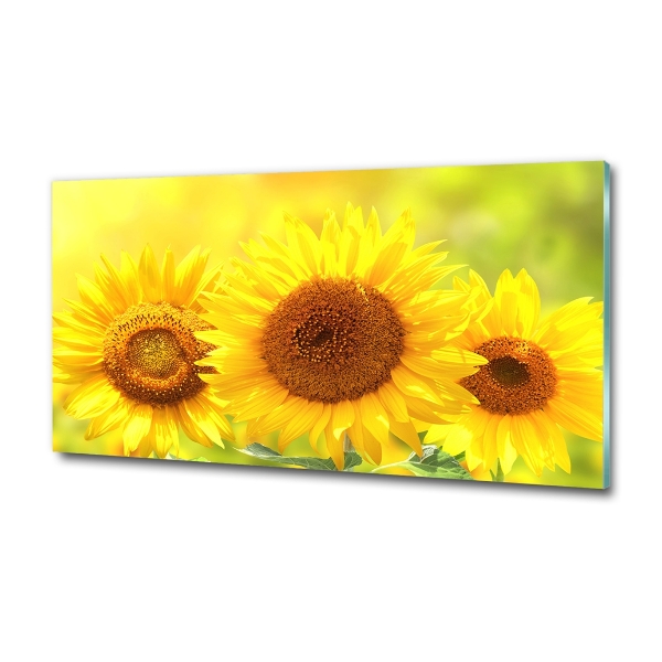 Quadro in vetro Girasoli