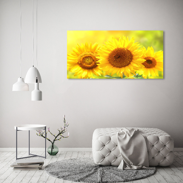 Quadro in vetro Girasoli