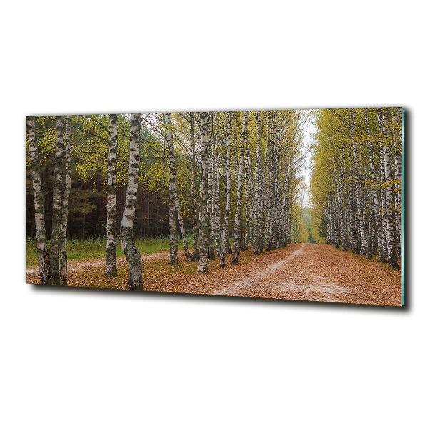 Quadro in verde Viale delle betulle