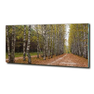 Quadro in verde Viale delle betulle