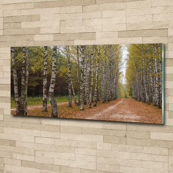 Quadro in verde Viale delle betulle