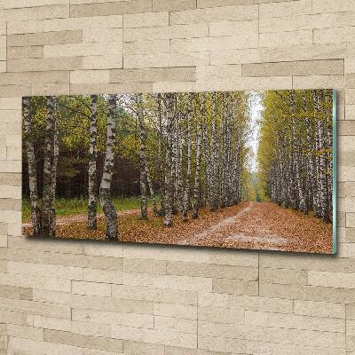 Quadro in verde Viale delle betulle