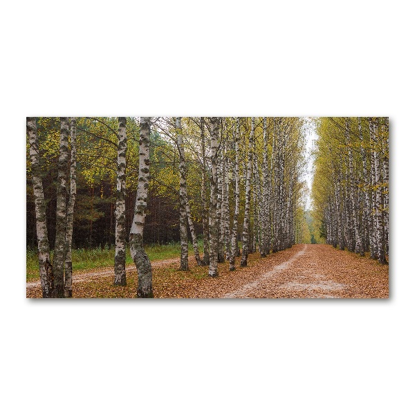 Quadro in verde Viale delle betulle