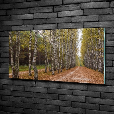 Quadro in verde Viale delle betulle