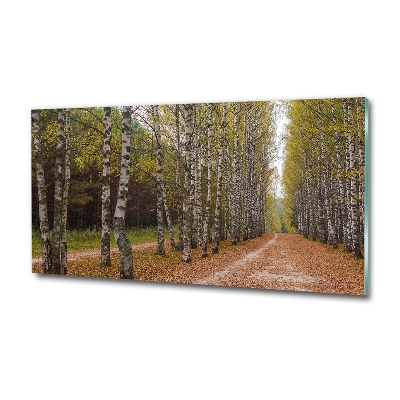 Quadro in verde Viale delle betulle