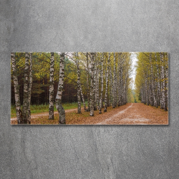 Quadro in verde Viale delle betulle