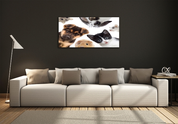 Quadro in verde Animali domestici