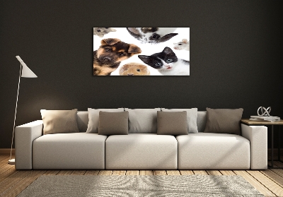 Quadro in verde Animali domestici