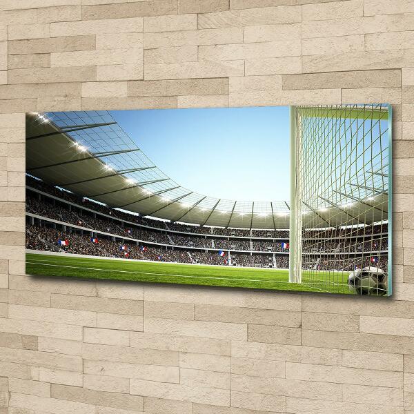 Quadro su vetro Stadio Francia