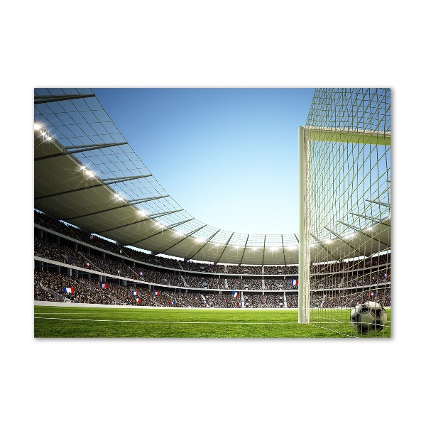 Quadro su vetro Stadio Francia