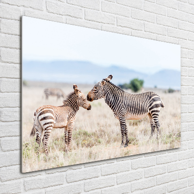 Quadro in verde Zebre in montagna