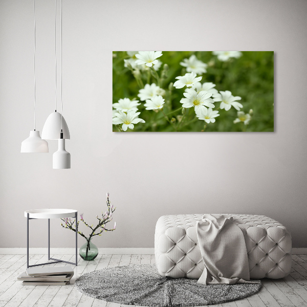 Quadro in verde Fiori primaverili