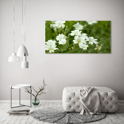 Quadro in verde Fiori primaverili