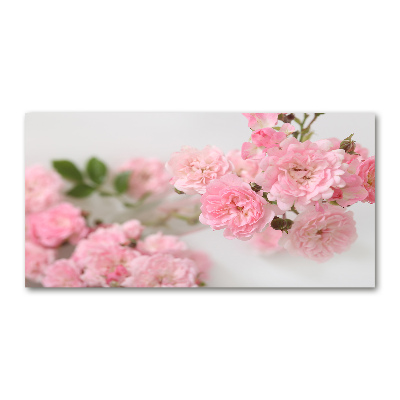 Quadro vetro Rose selvatiche