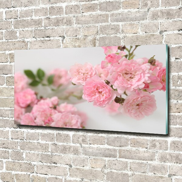 Quadro vetro Rose selvatiche