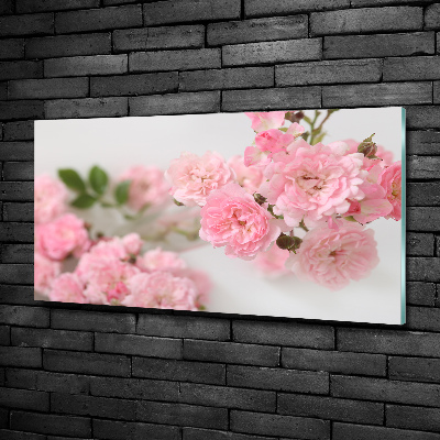Quadro vetro Rose selvatiche