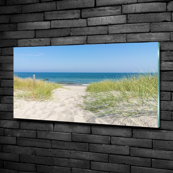 Quadro in verde Dune costiere