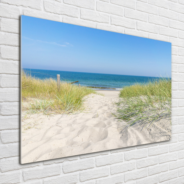 Quadro in verde Dune costiere