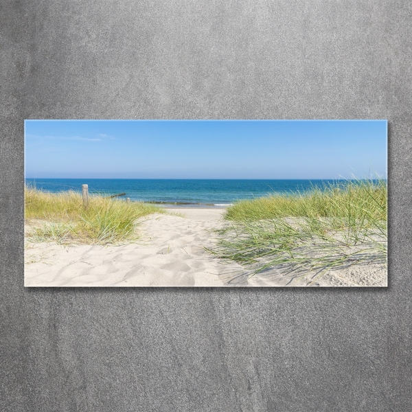 Quadro in verde Dune costiere