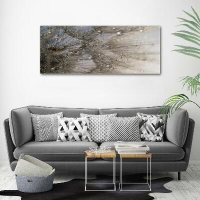 Quadro su vetro Semi di tarassaco