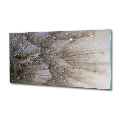 Quadro su vetro Semi di tarassaco