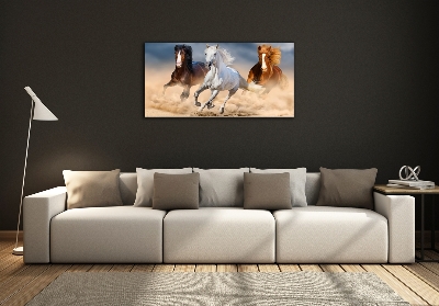 Quadro in vetro Cavalli nel deserto