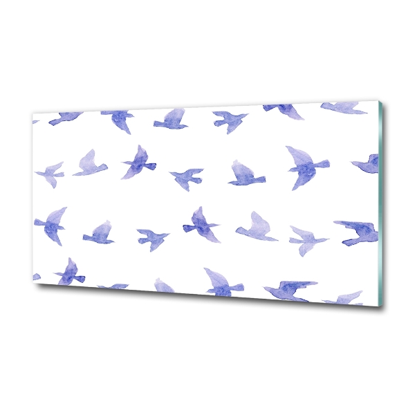 Quadro vetro Rondini