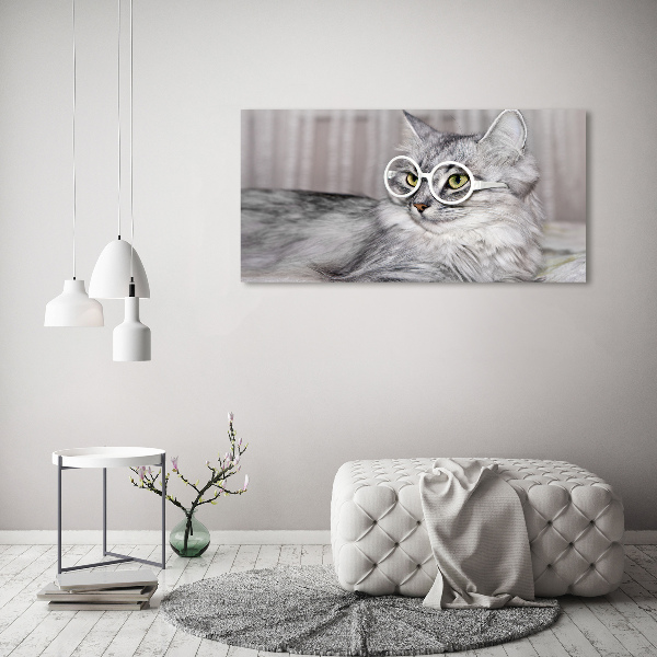 Quadro vetro Gatto con gli occhiali