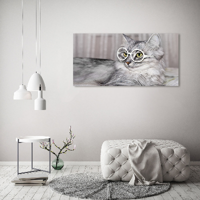 Quadro vetro Gatto con gli occhiali