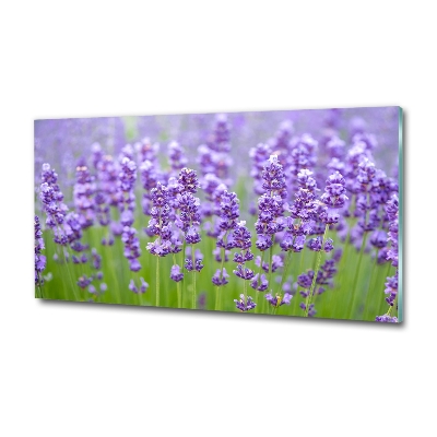 Quadro vetro Lavanda