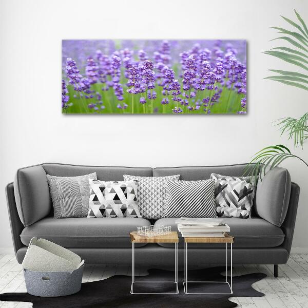 Quadro vetro Lavanda