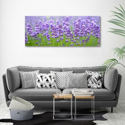 Quadro vetro Lavanda