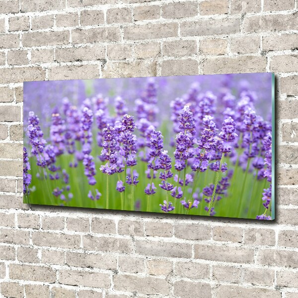 Quadro vetro Lavanda