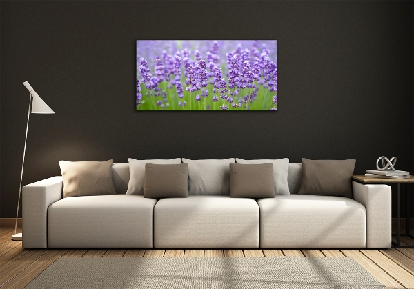 Quadro vetro Lavanda