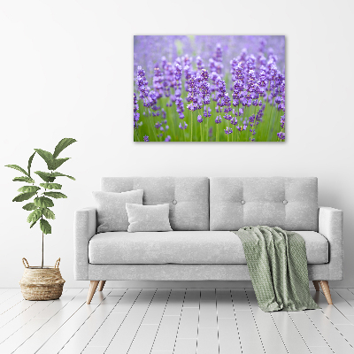 Quadro vetro Lavanda