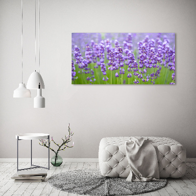 Quadro vetro Lavanda