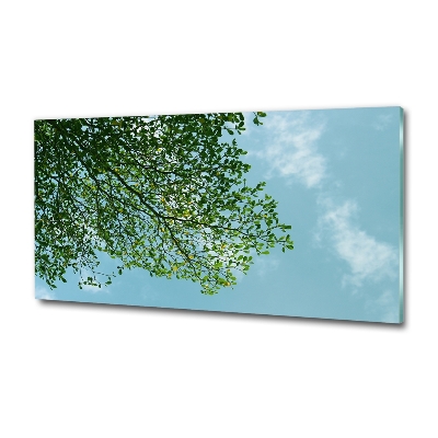 Quadro in verde Foglie nel cielo