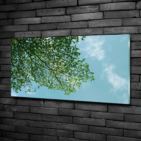 Quadro in verde Foglie nel cielo