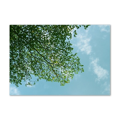 Quadro in verde Foglie nel cielo