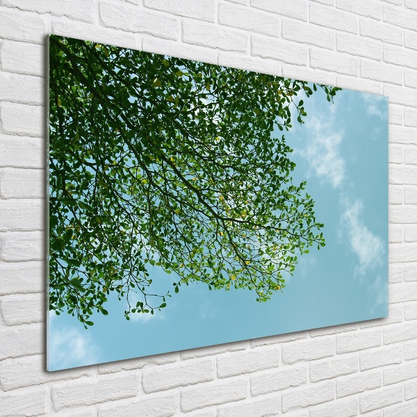 Quadro in verde Foglie nel cielo