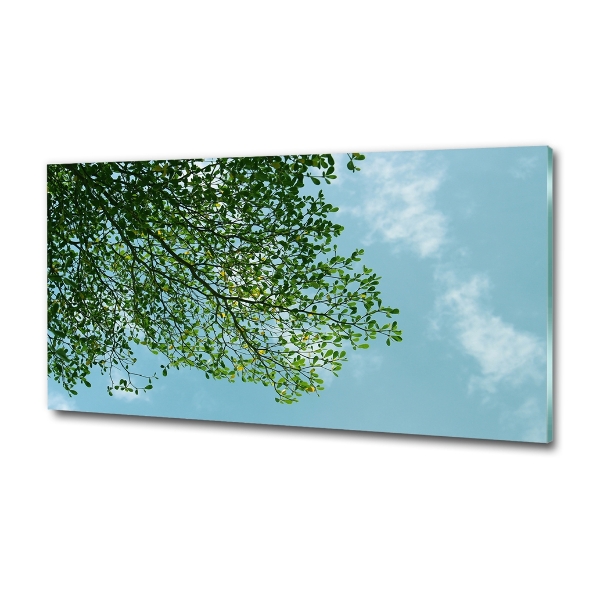 Quadro in verde Foglie nel cielo