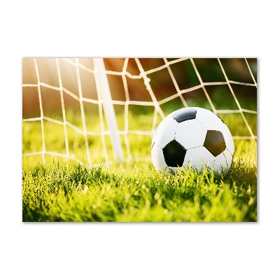 Quadro in vetro La palla è in porta