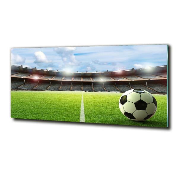 Quadro in verde La palla sul campo