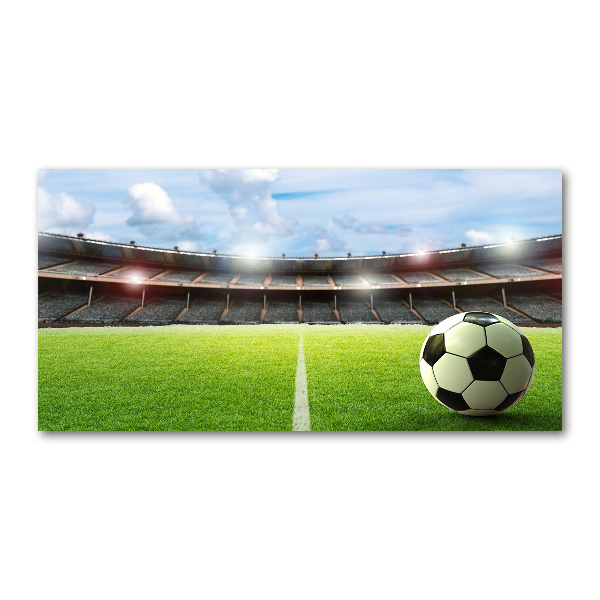 Quadro in verde La palla sul campo