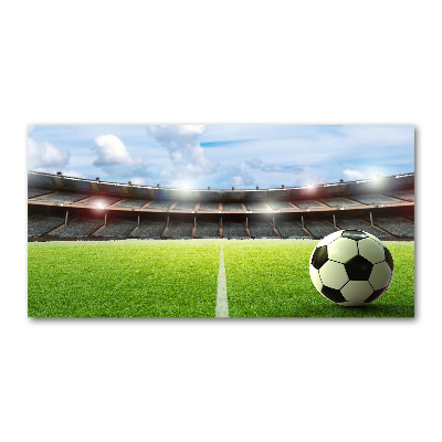 Quadro in verde La palla sul campo