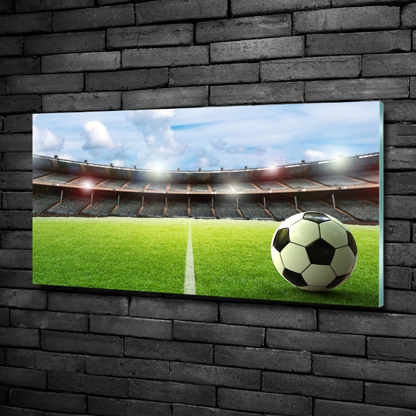 Quadro in verde La palla sul campo